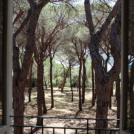 Hotel Villa Nettuno Marina di Campo Dış mekan fotoğraf
