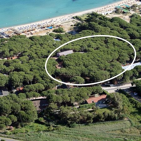 Hotel Villa Nettuno Marina di Campo Dış mekan fotoğraf